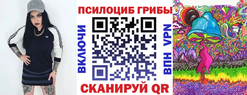 Псилоцибиновые грибы MAGIC MUSHROOMS  сколько стоит  Павлово 